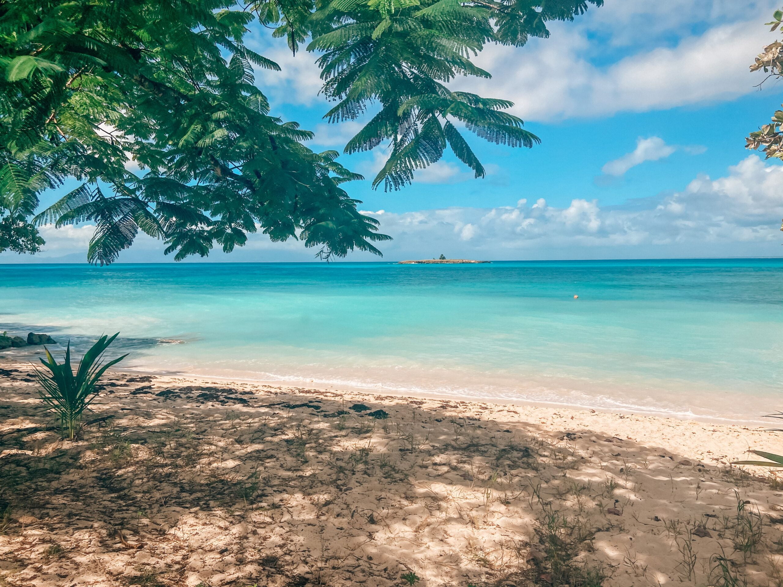 Guadeloupe en juillet : la meilleure saison