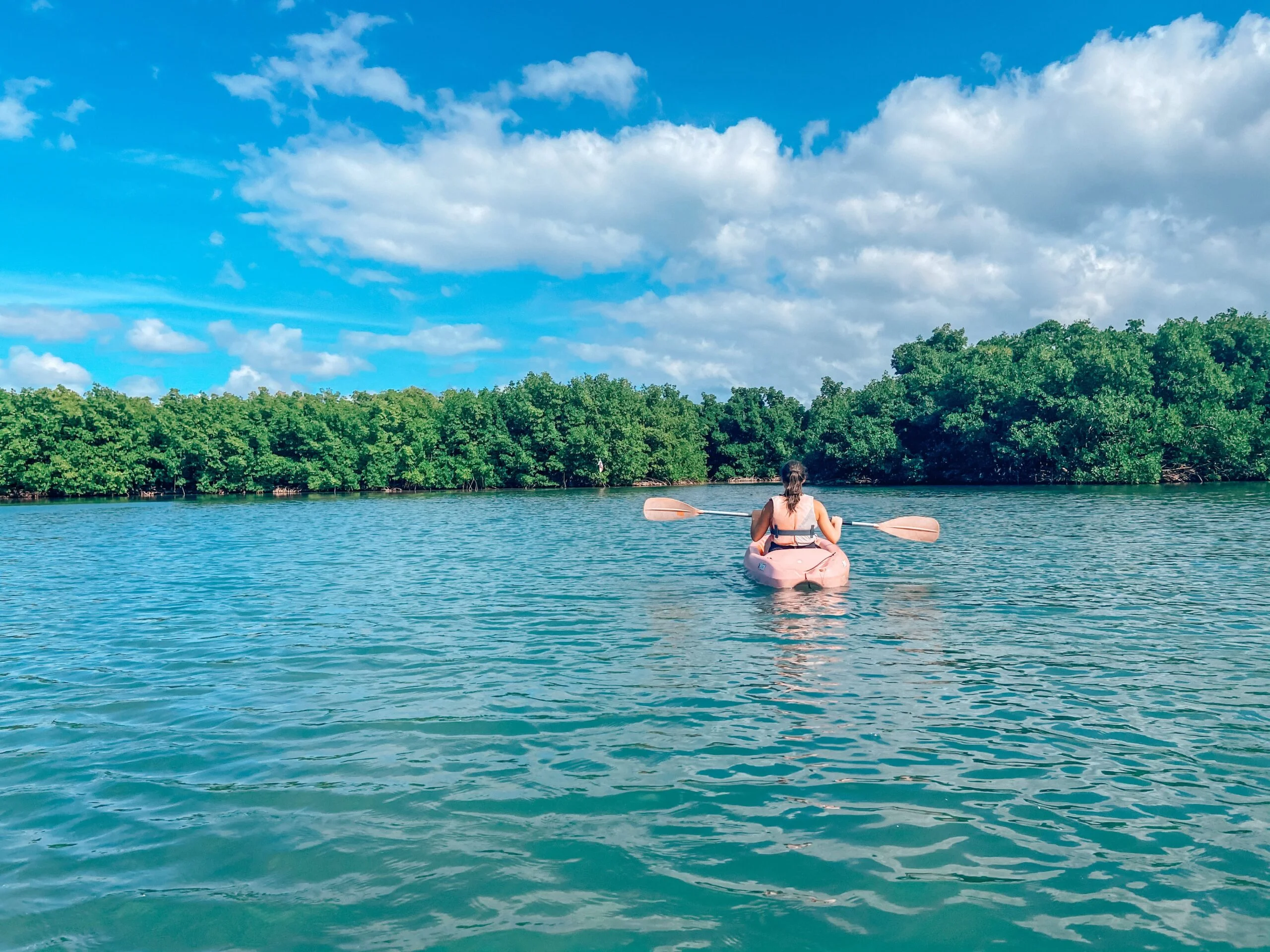 Kayak dans la mangrove