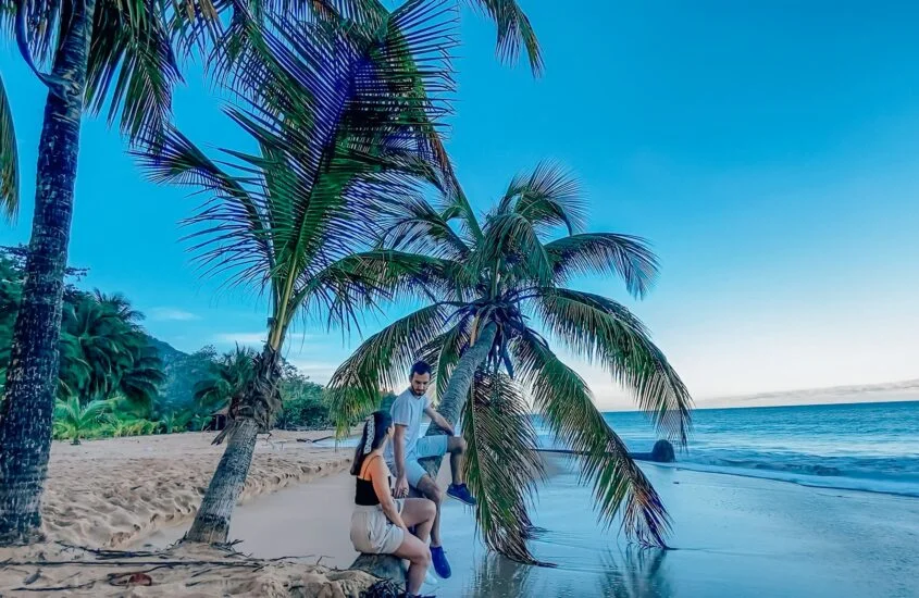 couple assis sur le le tronc d'un palmier sur la plage