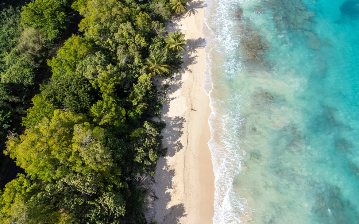 Anse de mays