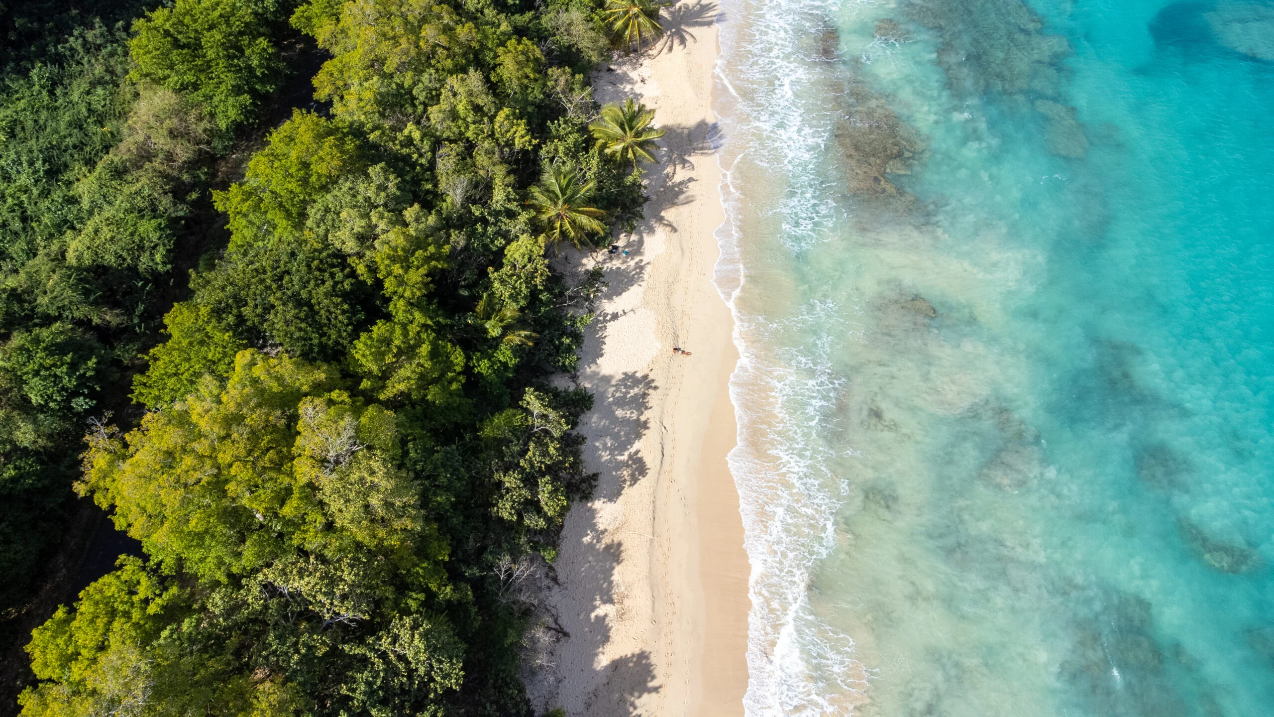 Anse de mays