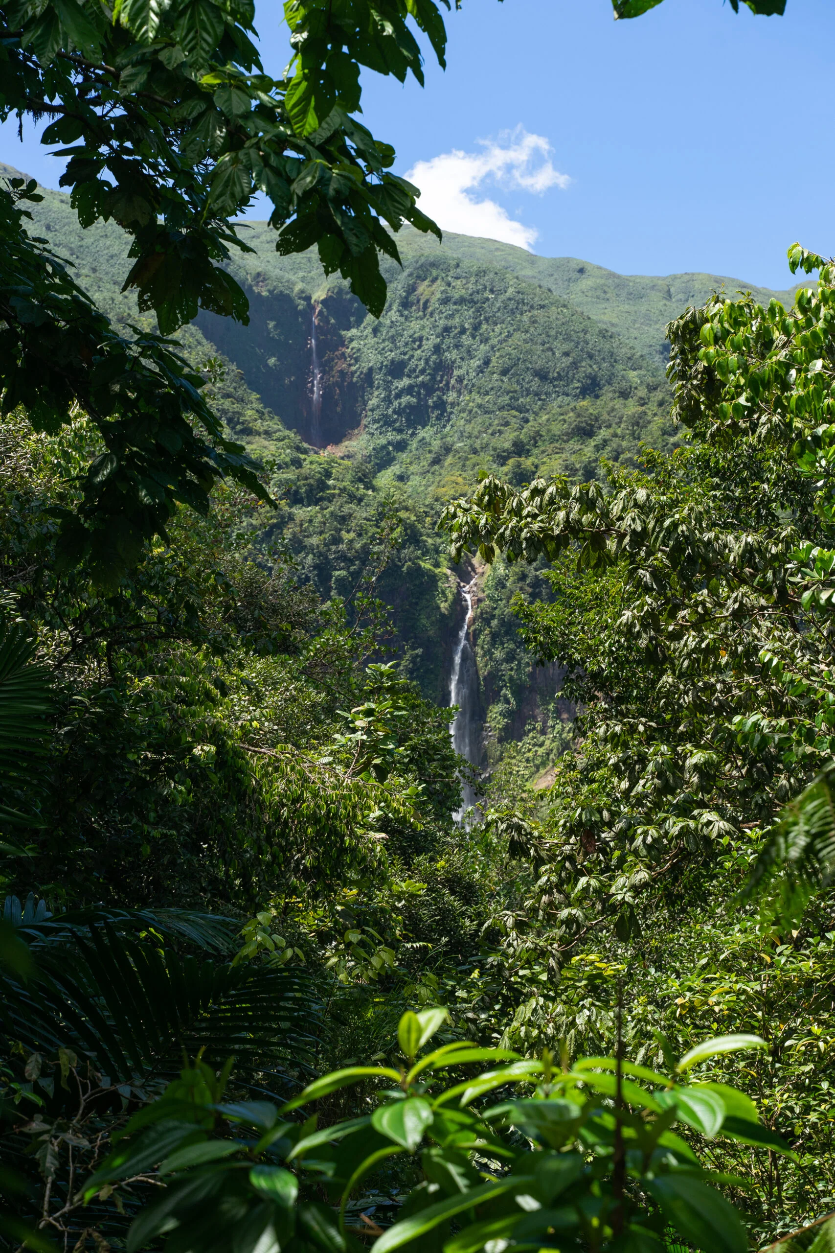 Les Chutes du Carbet