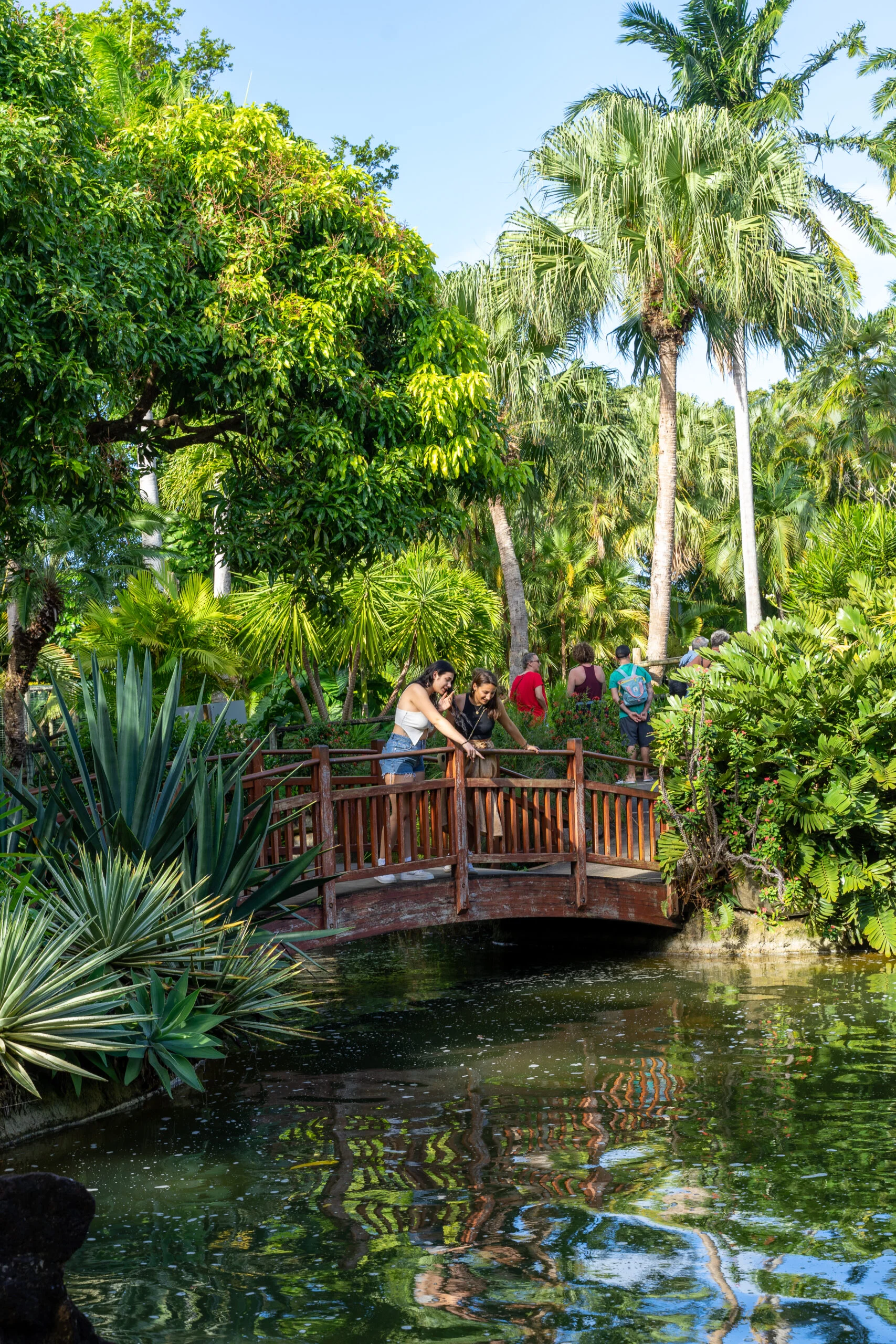 jardin botanique de deshaies