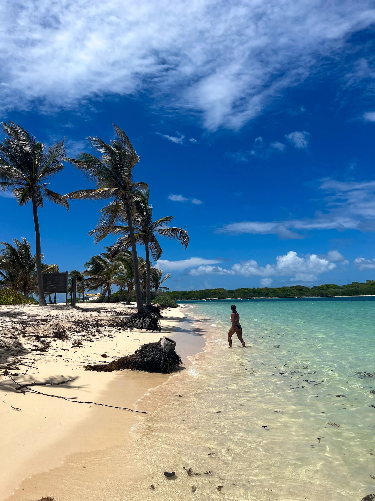 réserve de petite terre
