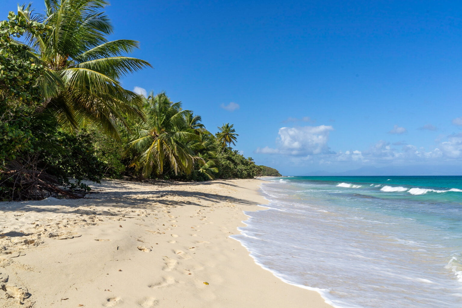 Visiter la Guadeloupe en 15 jours : Itinéraire de 2 semaines (2025)