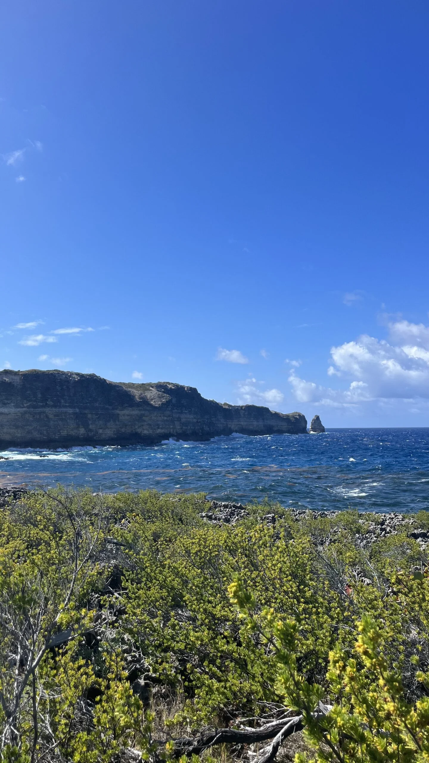 Randonnée anse bertrand