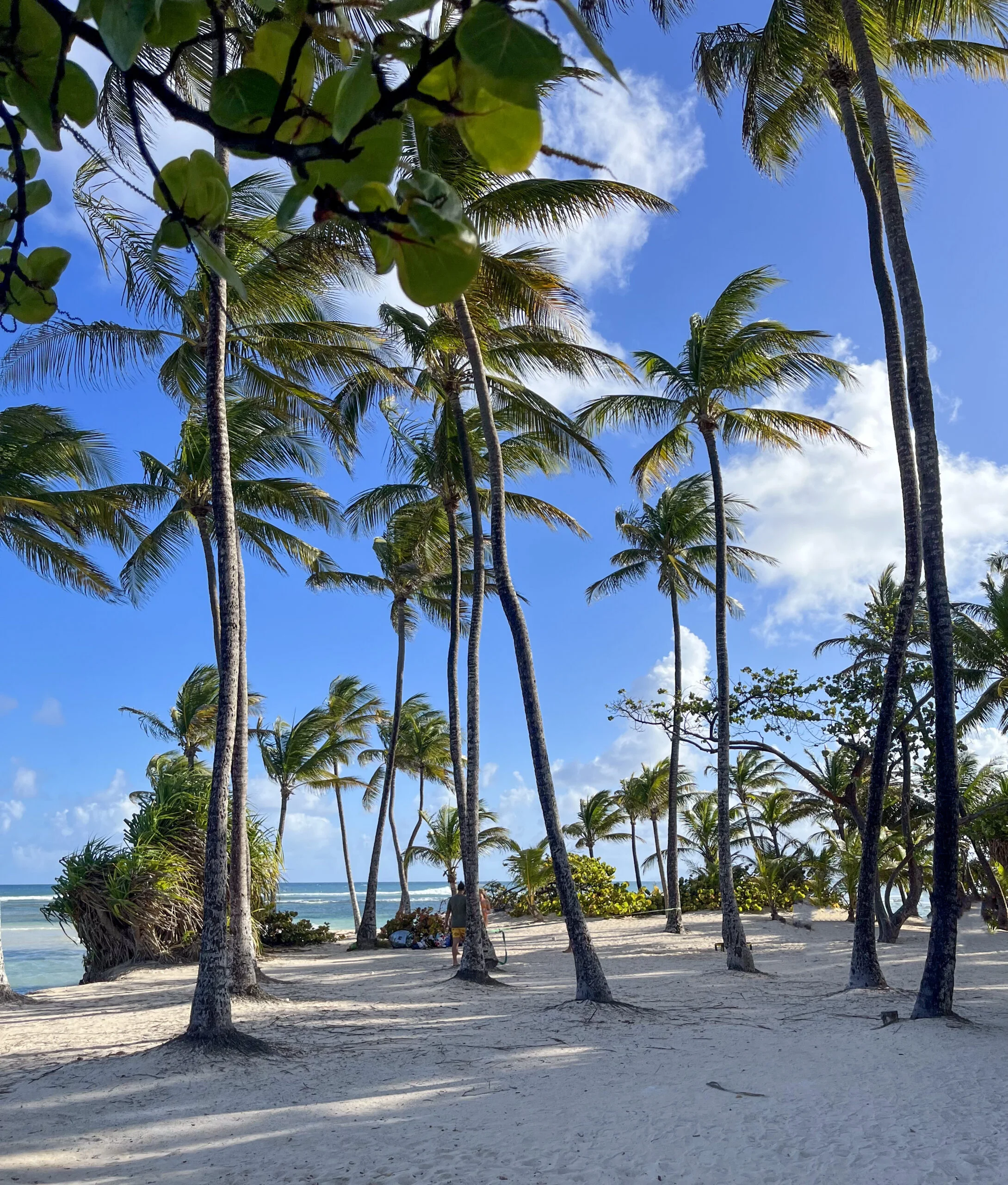 plage de la caravelle