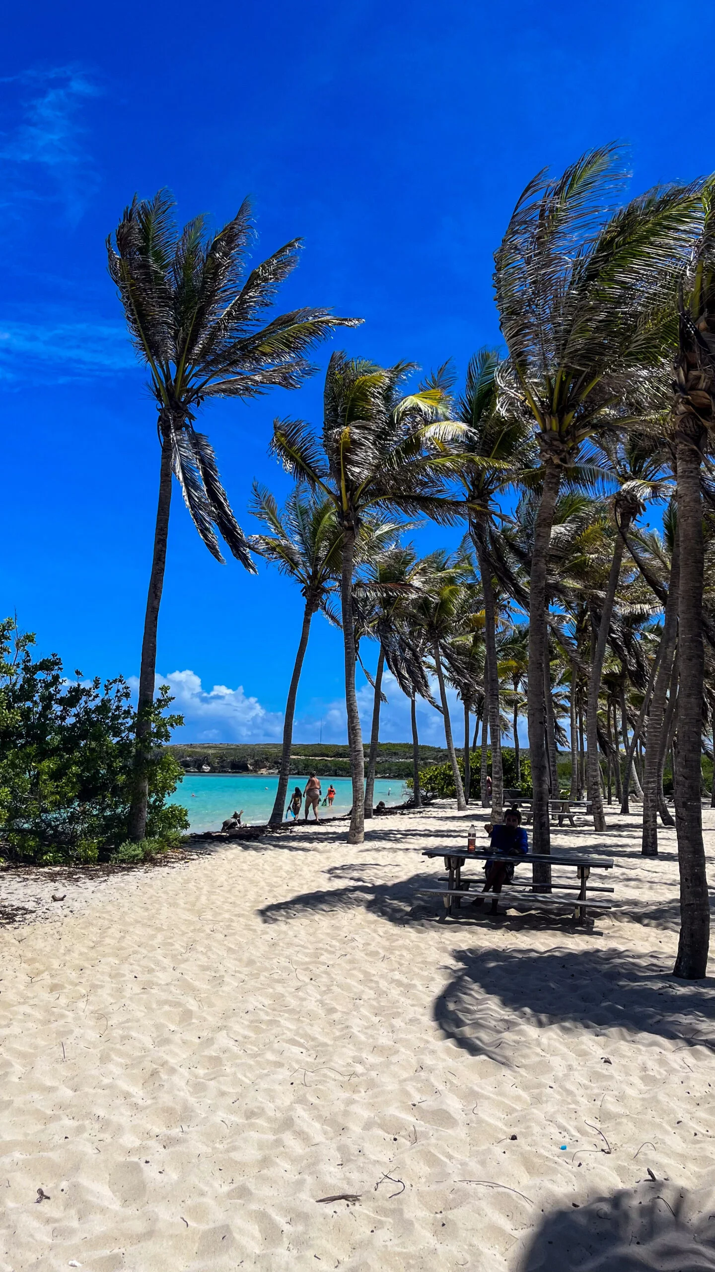 plage de petite terre
