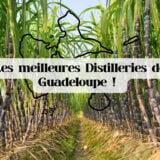 Distillerie Guadeloupe