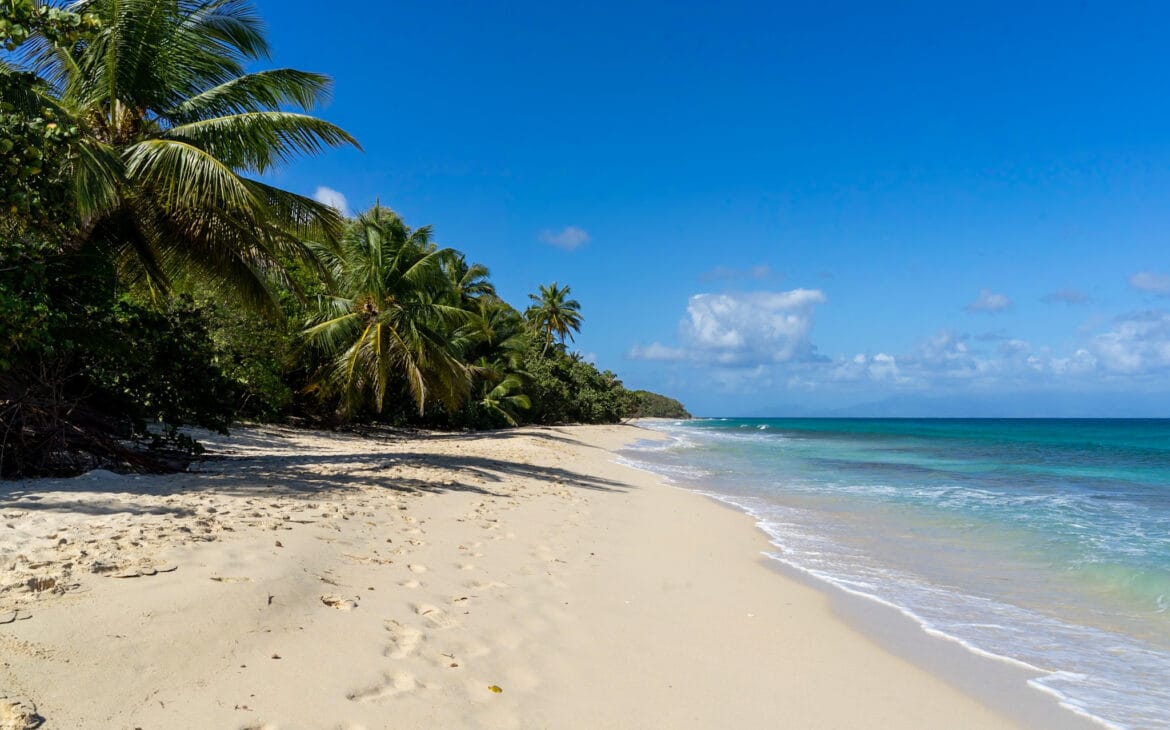 Anse Mays 4