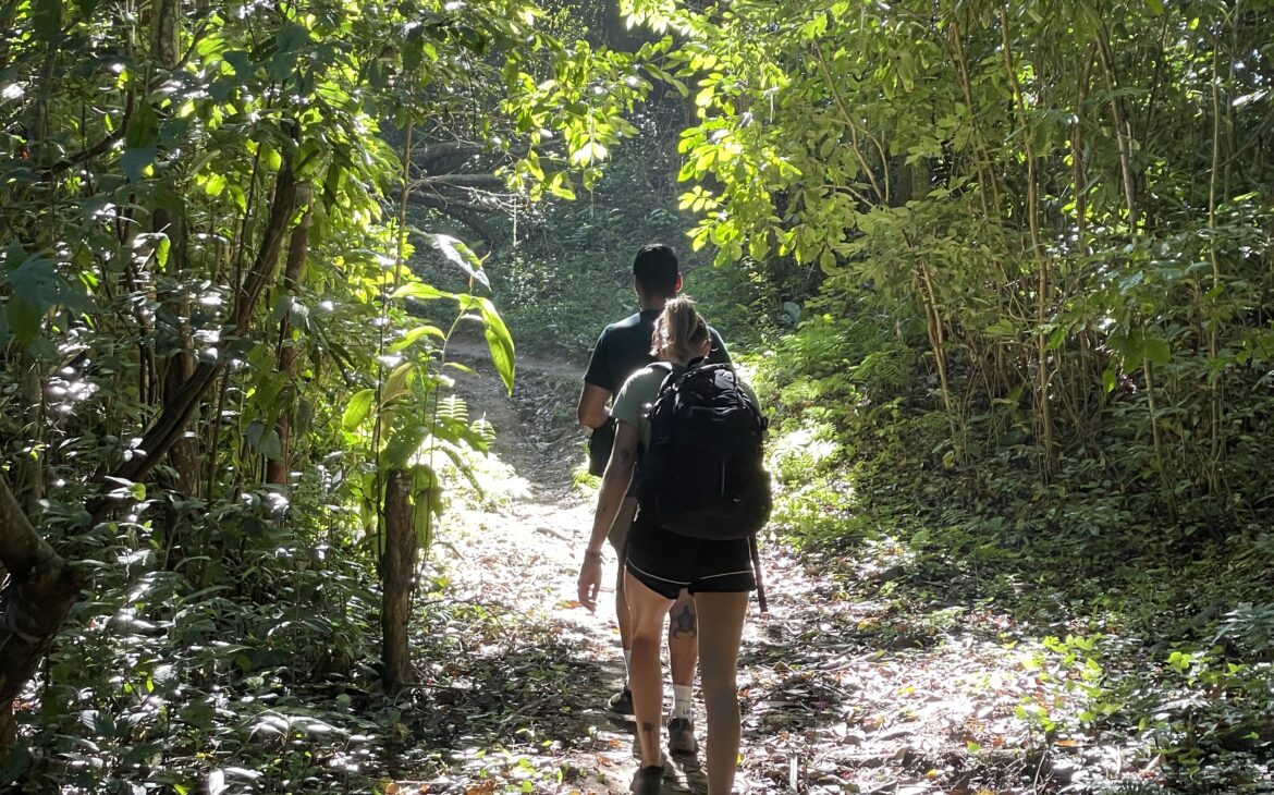 sentier de randonnée du parc Tayrona 