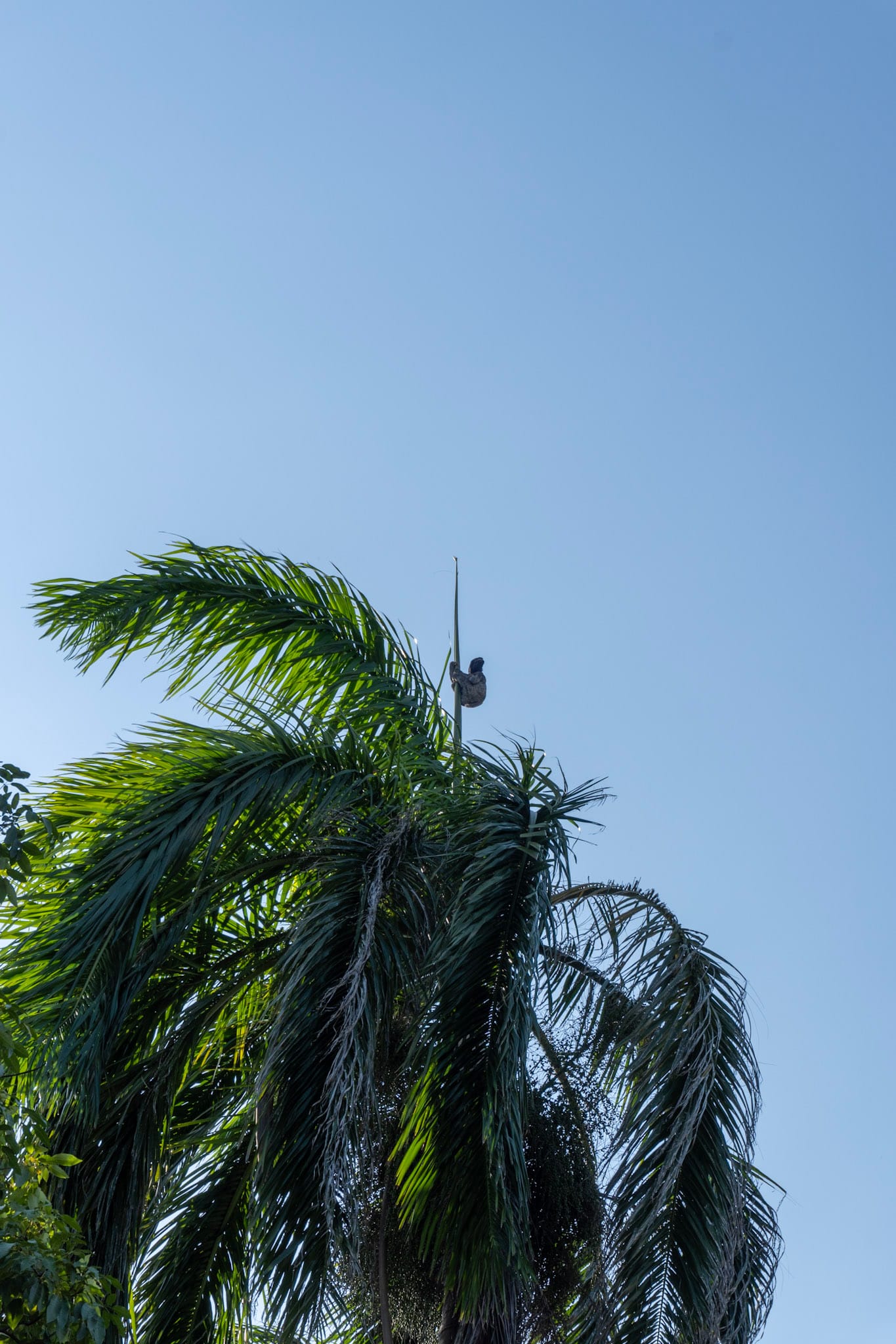 Parque Centenario
