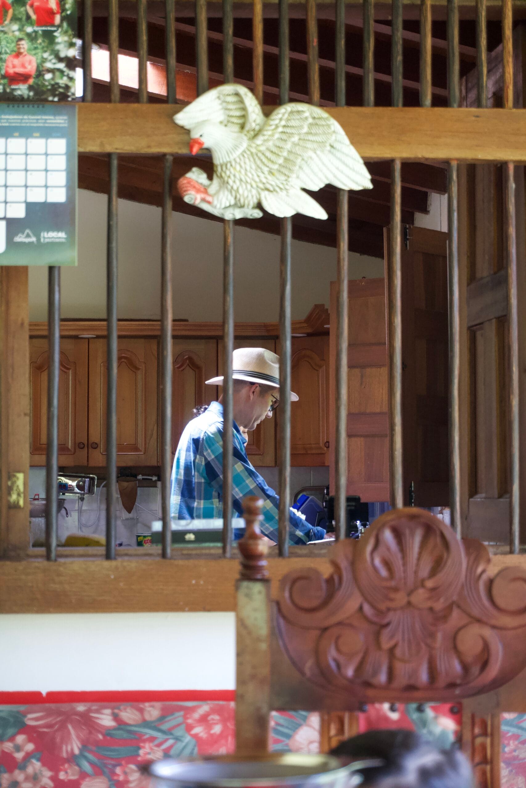 finca vascafe jardin