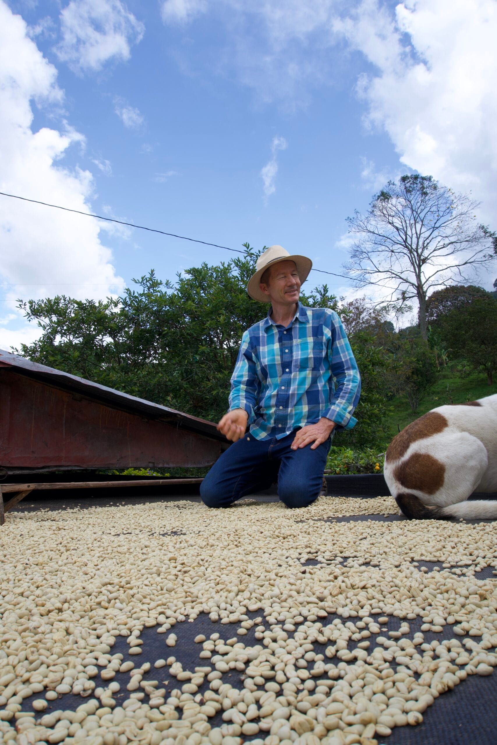 finca vascafe jardin