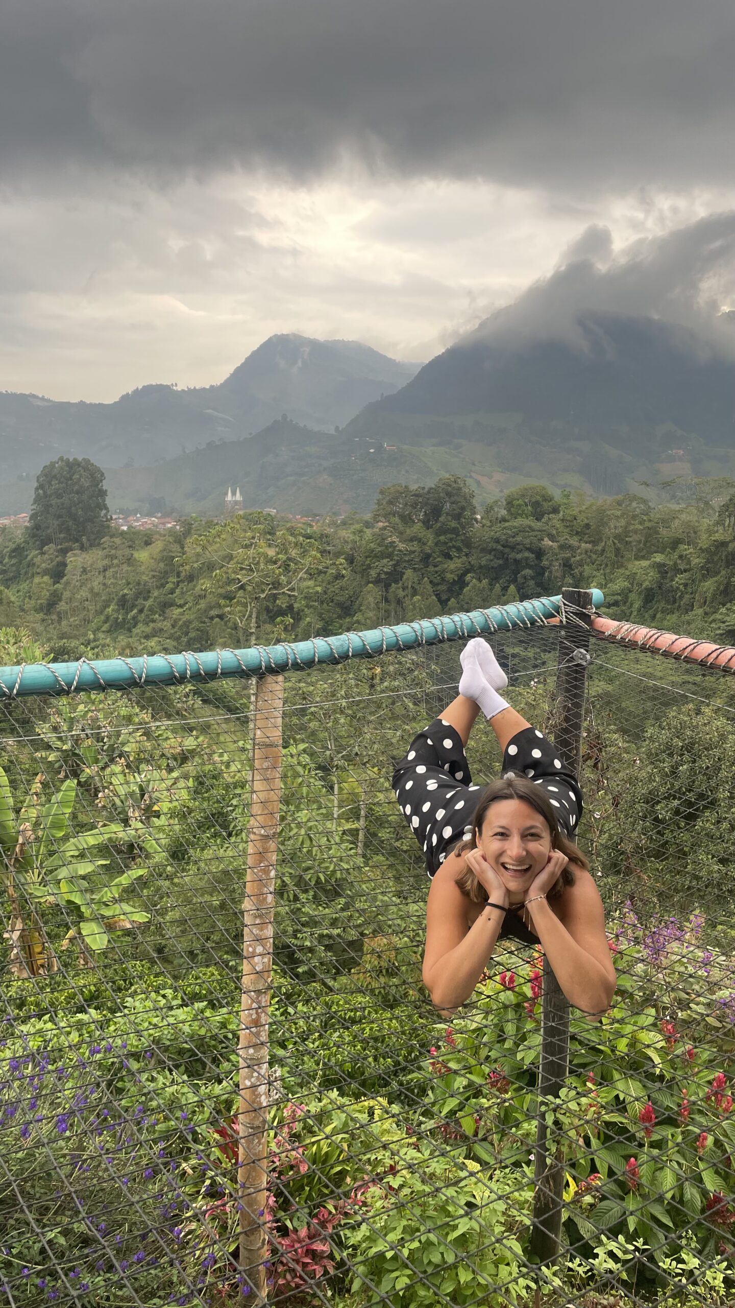 Mirador la Herrerita jardin