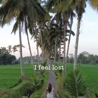Seul au milieu de l’immensité des rizières de Bali. 🌾✨

On s’est levé a 5h pour profiter de cet endroit au lever de soleil (c’était duuuur pour nous qui sommes des gros dormeurs🤪😅) mais clairement ça valait le coup pour cette ambiance magique 😍

Tu tu serais levé aussi pour ça ou no way? 🙃

.
.
.
#indonesie #bali #riceterrace #explorebali #sunrise #baliisland #instavoyage #travelcouple #voyage #exploreindonesia #couplevoyageur